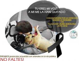 Spanje woedend nadat politie hond doodschiet