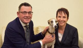 Australie pakt puppyfarms aan met strenge wetgeving