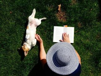 Kwispellezen, een leesmethode met honden