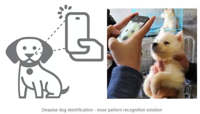 Neusherkenningssoftware voor honden in de maak