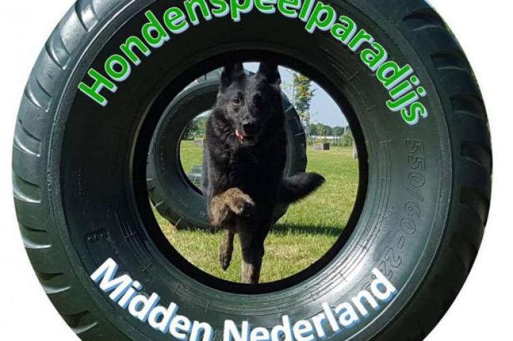 Hondenspeelparadijs moet sluiten