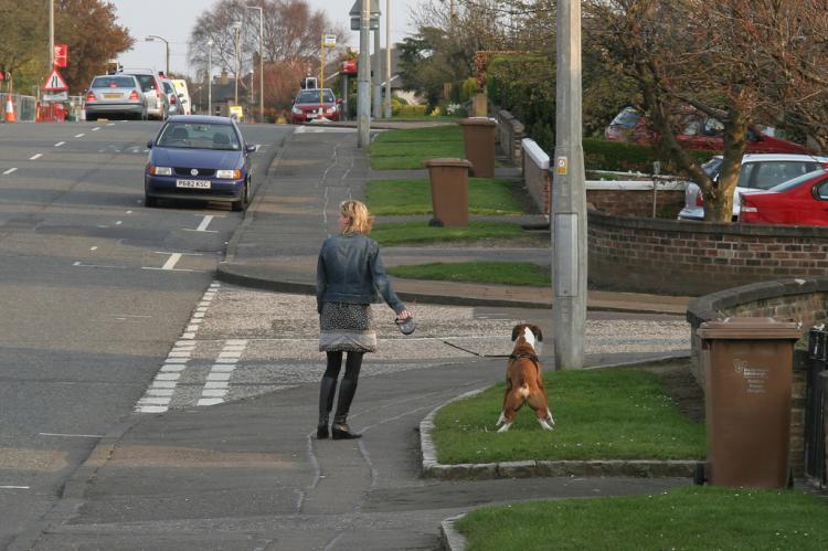 Spaanse plaatsen verplichten wegspoelen hondenurine