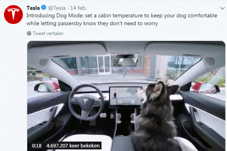 Dog Mode geïntroduceerd in Tesla 3