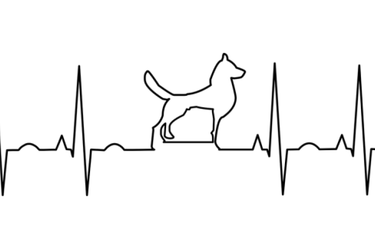 Dilaterende Cardiomyopathie, DCM