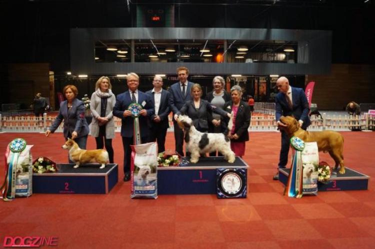 Groningen 2018, Martinidogshow