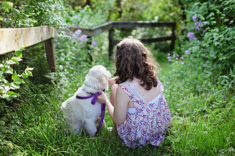 Meer honden betekent minder allergie