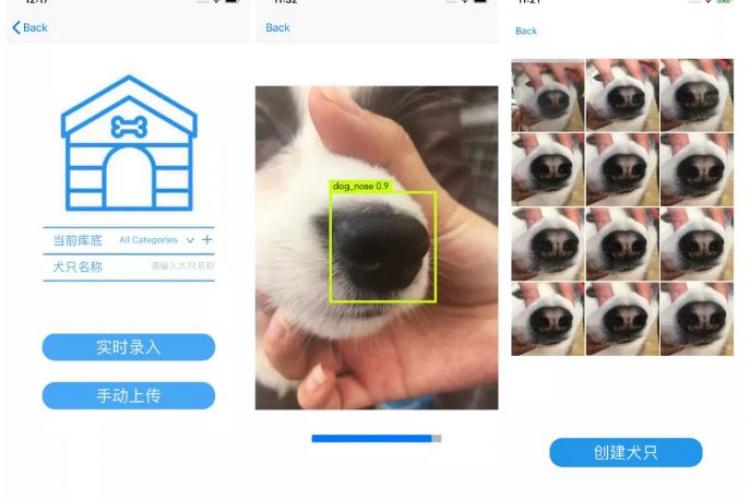 Neusherkenningssoftware voor honden in de maak