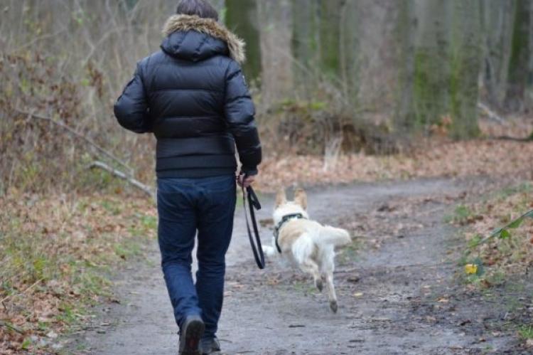 Hond aanlijnen als er iemand anders aankomt, zegt Duitse rechter