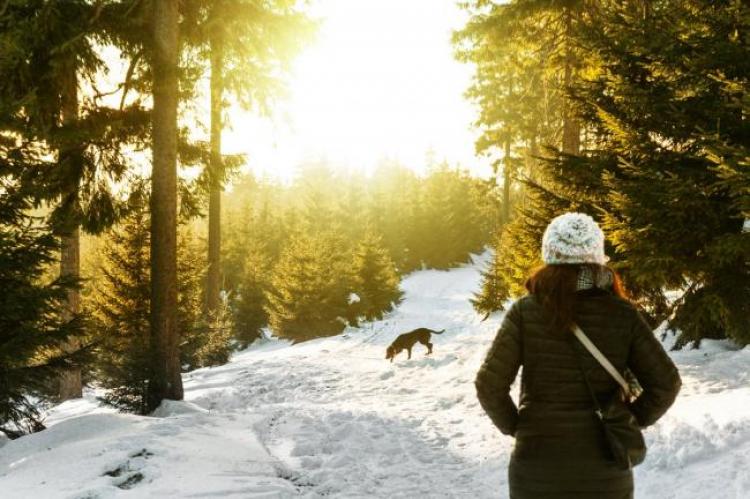 Wandelt uw hond ook minder bij slecht weer?