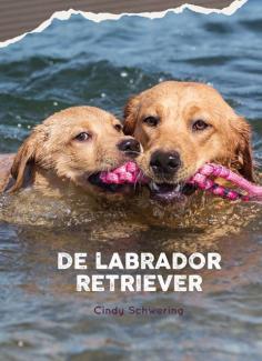 De Labrador Retriever