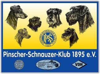 Gisteren, zondag 10 juni 2018, keurde keurmeester Peper op de Jahressieger van de Duitse Pinscher Schnauzer Club 1895 eV. Het was prachtig, warm weer. Tijdens deze dag liet hij zijn drie honden achter in de auto. Op het moment dat dit ontdekt werd was een van de dieren al niet meer te redden. De andere twee waren in zorgwekkende toestand.