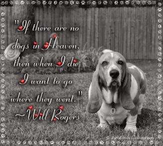 Vandaag is het Pet Remembrance Day