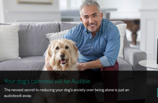 Millan komt met audioboek voor honden tegen verlatingsangst