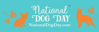 Internationale dag van de hond? sinds wanneer?