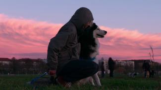 Netflix komt met zesdelige docu-serie "Dogs"