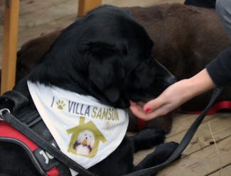 Villa Samson biedt patiënten tijd met hun hond of kat