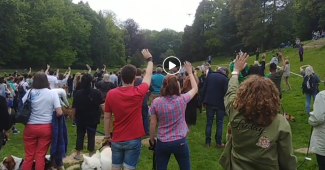 Belgisch wereldrecord: 342 honden op één foto