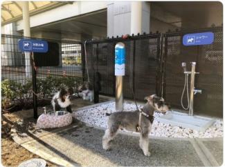 Luchthaven opent luxe toiletruimte voor honden