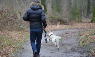 Hond aanlijnen als er iemand anders aankomt, zegt Duitse rechter
