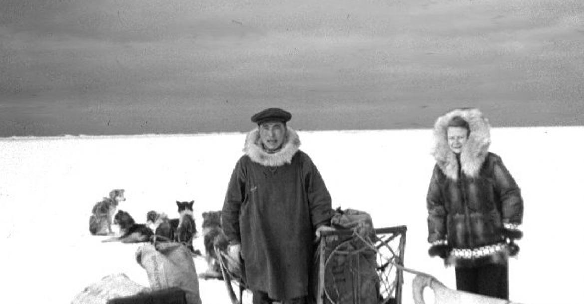 Nieuw onderzoek onthult het unieke, prachtige erfgoed van Inuit-sledehonden