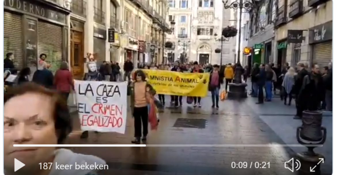 Demonstraties tegen behandeling van Galgo's in heel Europa