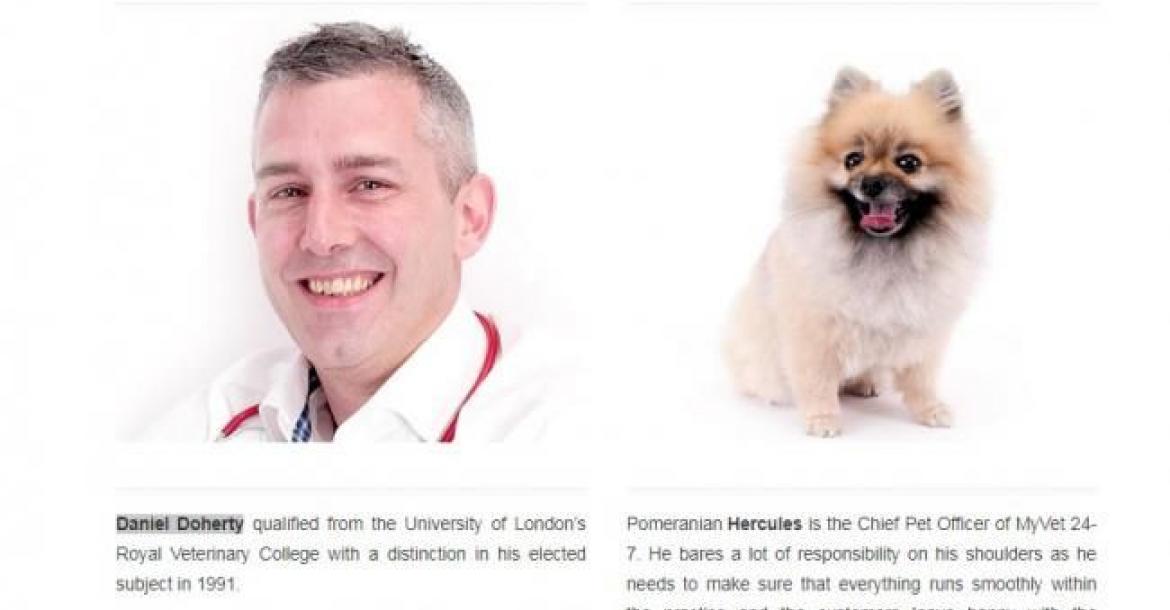 Engelse dierenarts schuldig aan fraude met bijna 5000 pups
