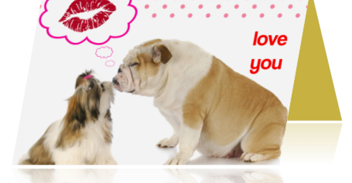 Hugs not Pugs voor Valentijn