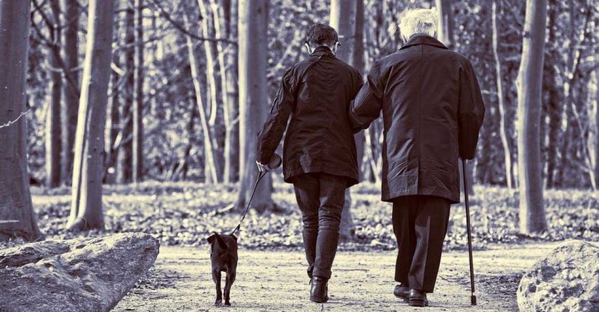 Meer botbreuken bij ouderen door uitlaten van de hond