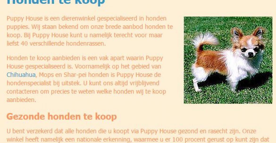 Sluit een verzekering af onwettig onkruid Zware straffen geëist tegen Belgische puppyhandelaren | DogZine