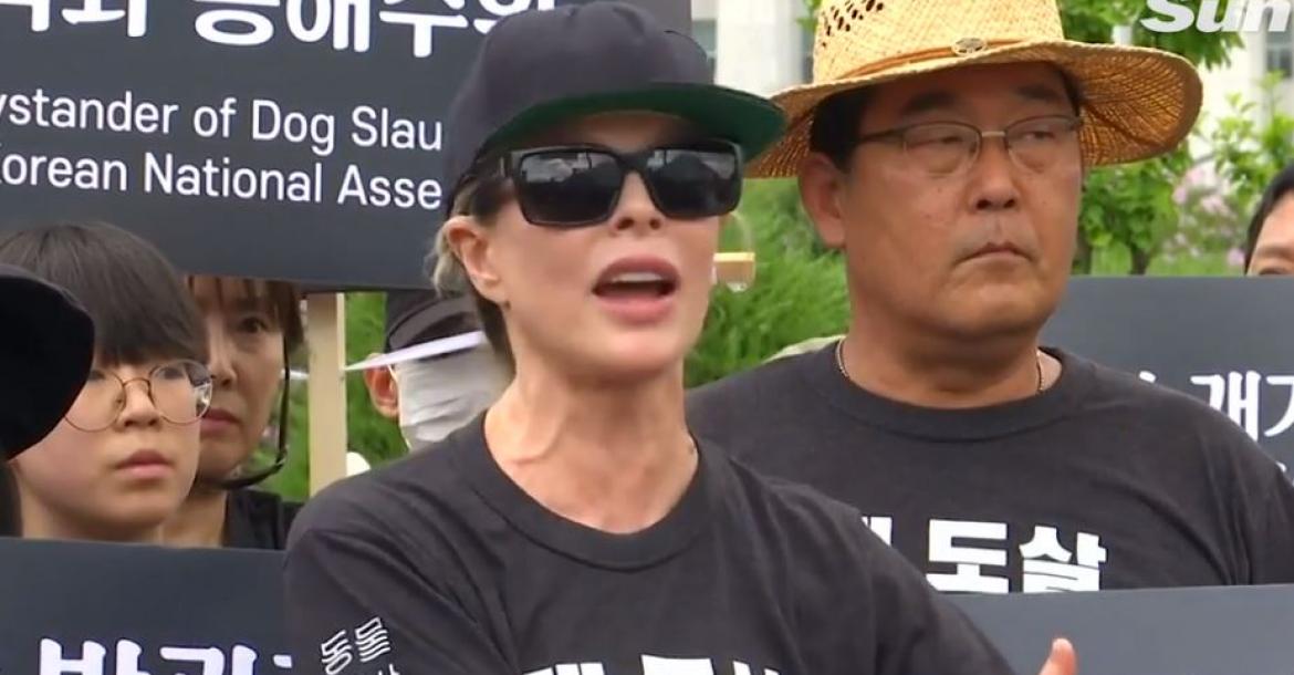 Protest in Korea tegen eten hondenvlees