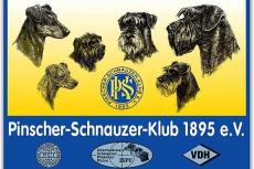 Gisteren, zondag 10 juni 2018, keurde keurmeester Peper op de Jahressieger van de Duitse Pinscher Schnauzer Club 1895 eV. Het was prachtig, warm weer. Tijdens deze dag liet hij zijn drie honden achter in de auto. Op het moment dat dit ontdekt werd was een van de dieren al niet meer te redden. De andere twee waren in zorgwekkende toestand.