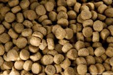 Is graanvrij hondenvoer de oorzaak van DCM? FDA geeft waarschuwing