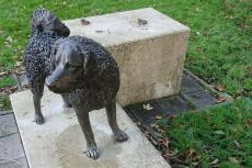 Bronzen hond gestolen