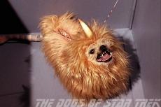 De hond van Spock