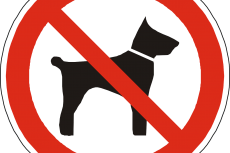 VVD lanceert plan voor verbod op bijtgrage honden