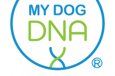 Gegevens MyDogDNA door fusie niet beschikbaar