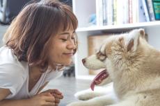 Hormoon maakt honden blij met glimlach