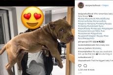 Rangers-voetballer onder vuur door foto's van gecoupeerde honden